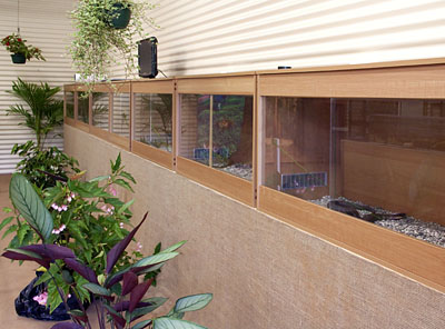 Deadly Australians display at St Bernards